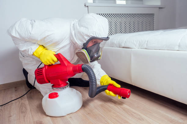 Wasp Removal Services in Fern Prairie, WA