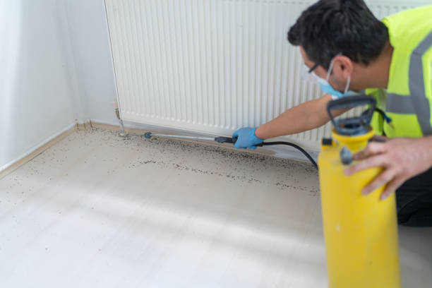 Pest Control for Restaurants in Fern Prairie, WA
