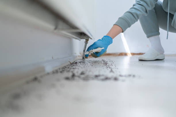 Trusted Fern Prairie, WA Pest Control Experts