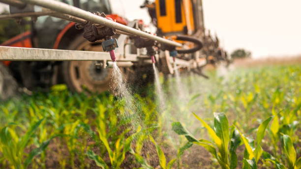 Pest Prevention Services in Fern Prairie, WA
